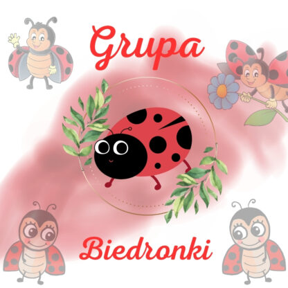 Grupa Biedronki (PDF) - pakiet